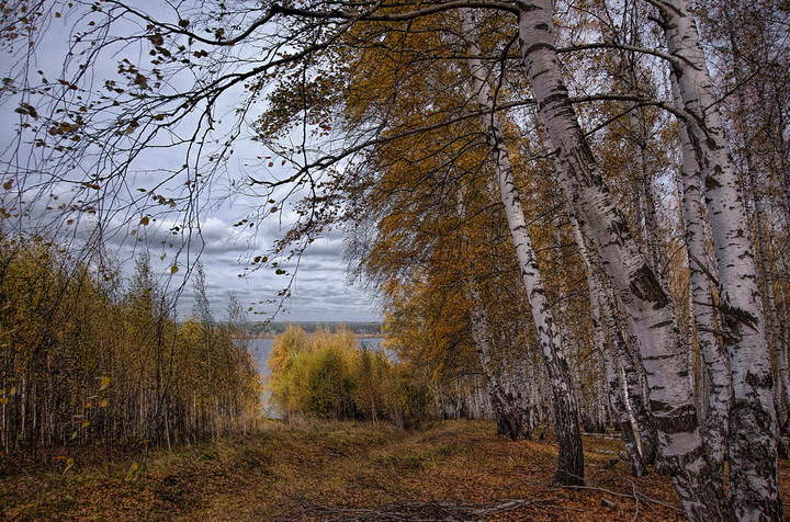 Скромная осень 