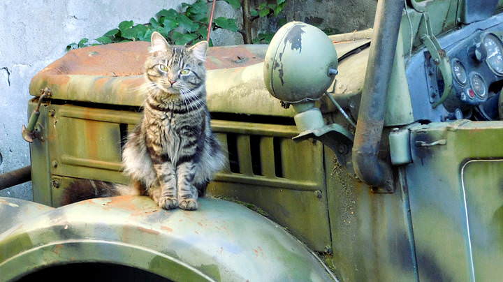 Военнообязанный