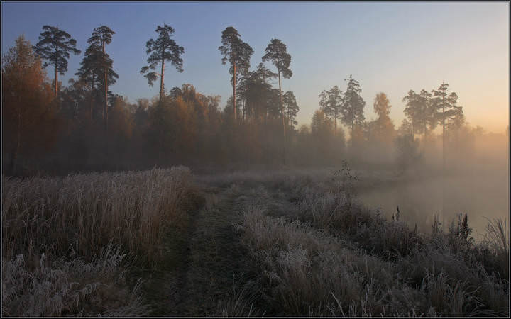 Холодное утро