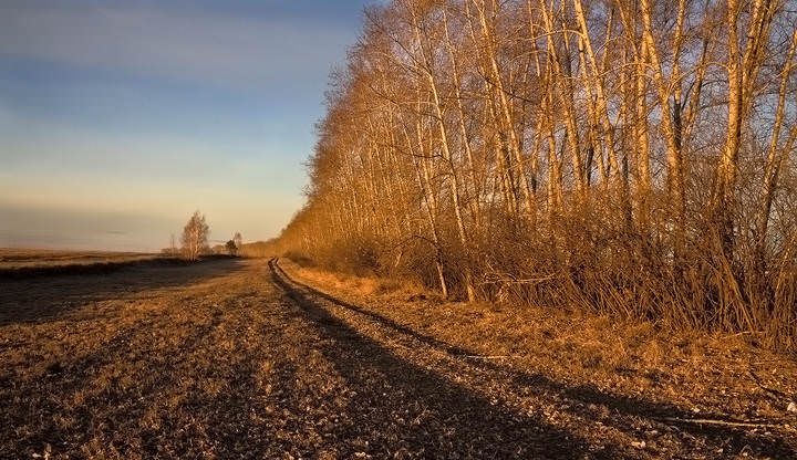 Рыжее утро
