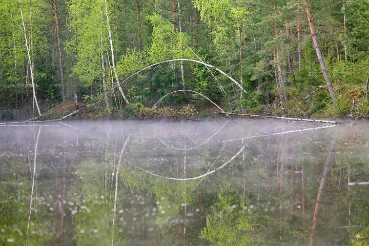 ОКО 