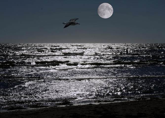 Ночь, Луна, море 