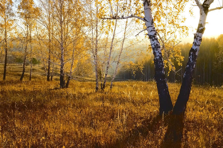 Вспоминая золотую осень