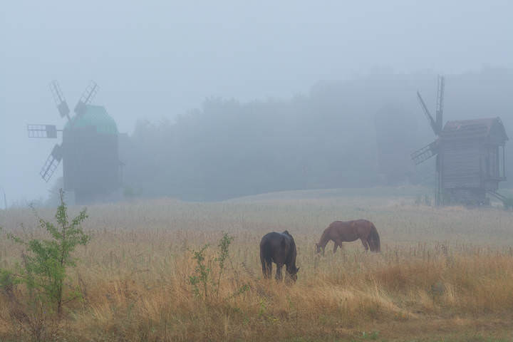 DSC_6940