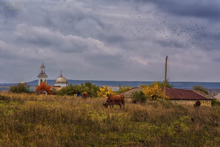 Крымское. Пасторальное