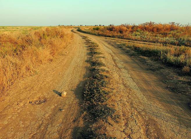 # 2