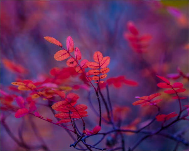 Осенний мотив... 
