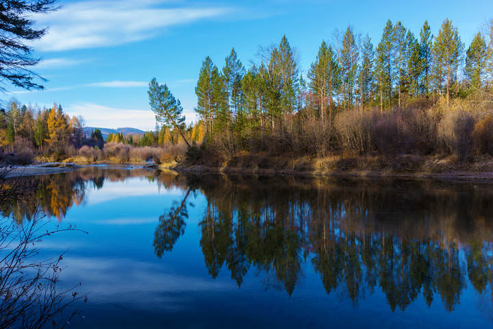 Речное зеркало