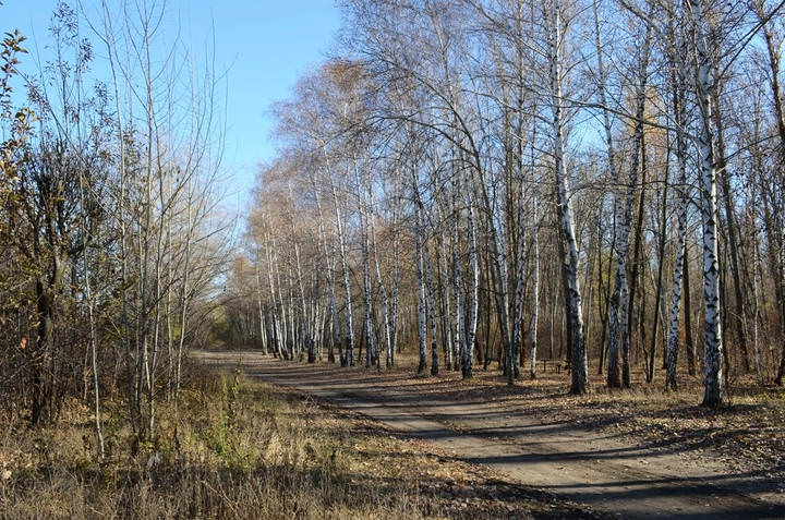 Ноябрь 2015г.
