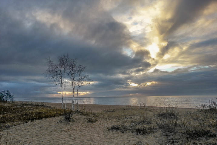 Saulkrasti 081115