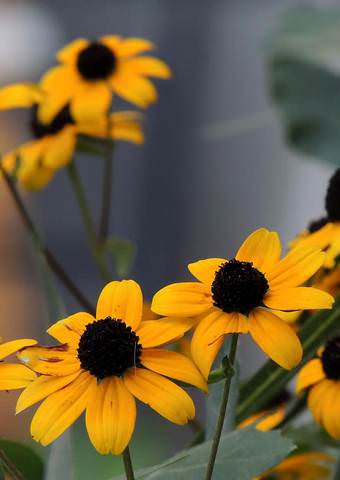 # 8