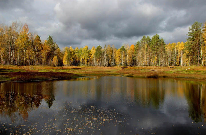  Осеннее безмолвие.