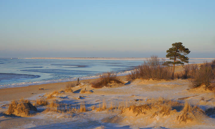 Ягры.Белое море.Предзимье.14.11.2015 (010)