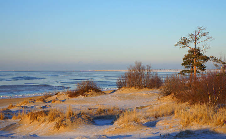 Ягры.Белое море.Предзимье.14.11.2015 (011)