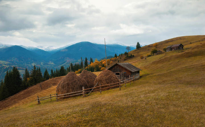 Луга