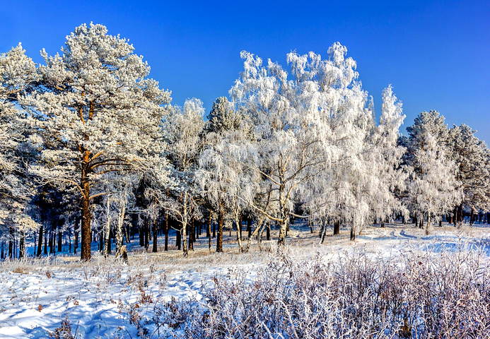 Белоснежный наряд