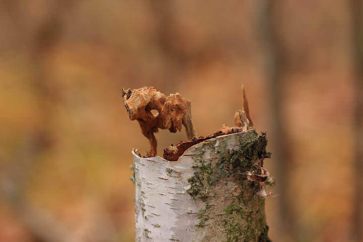 # 1