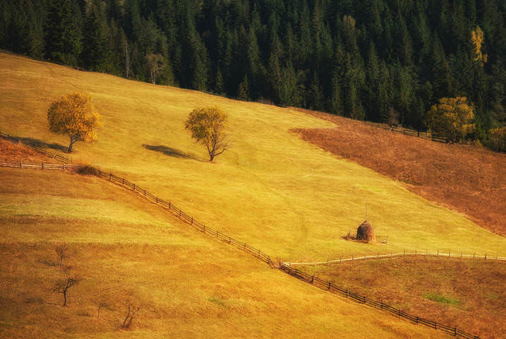 На медовых лугах