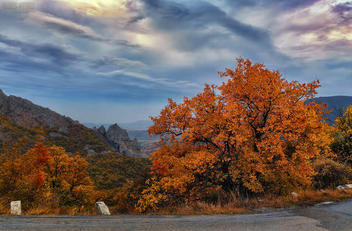 Дорогами Крыма