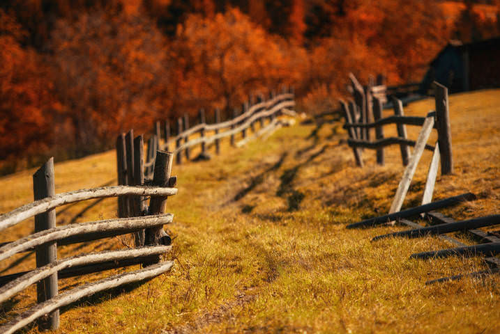 Забористо, переменная облачность.