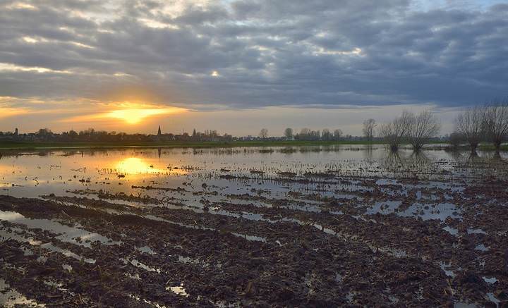 The evening after the rain.