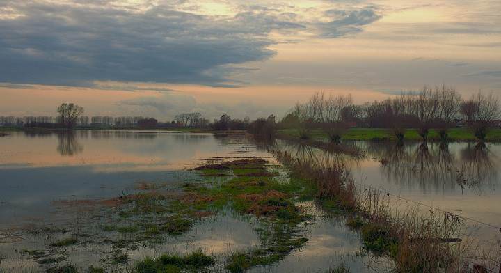 Flood.