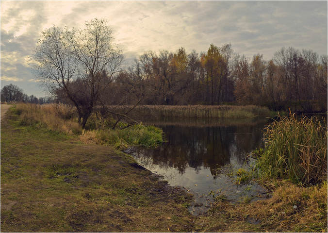 Осенняя тишина