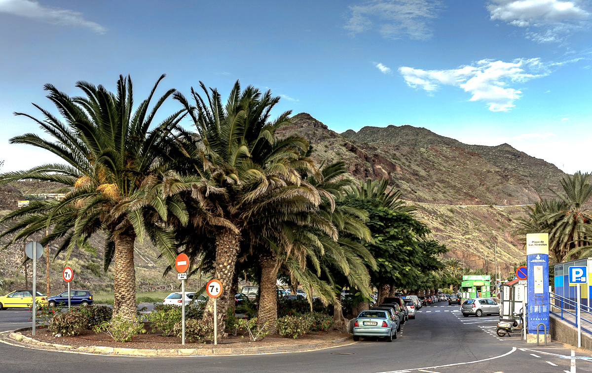Spain 2015 Canary Tenerife 3