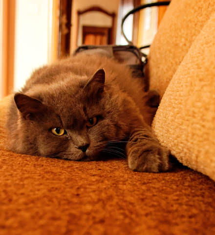 DSC03414_DxO