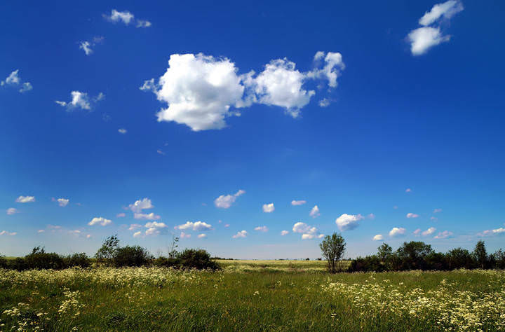 Красота Апокалипсиса. Акт первый.