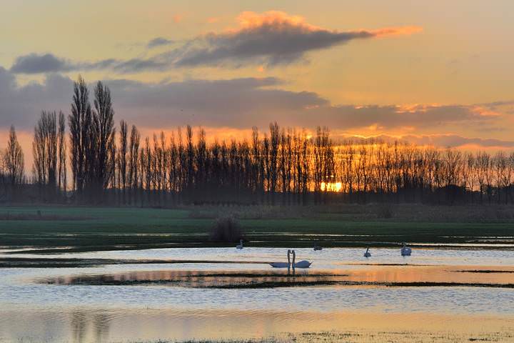 A romantic morning.