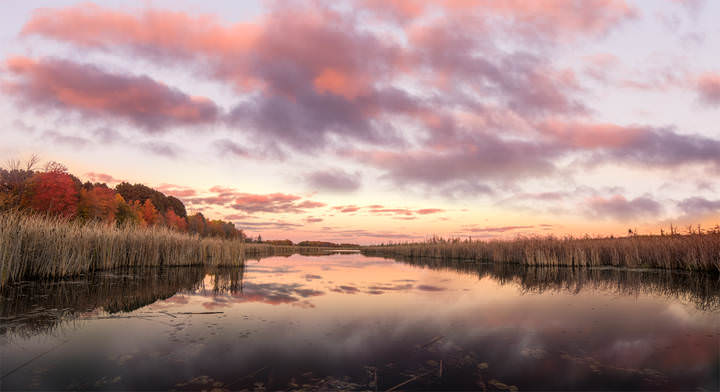Sunrise @ Mer Bleue Bog