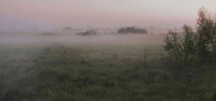 закатный туман 1