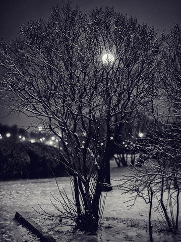 ночные солнца