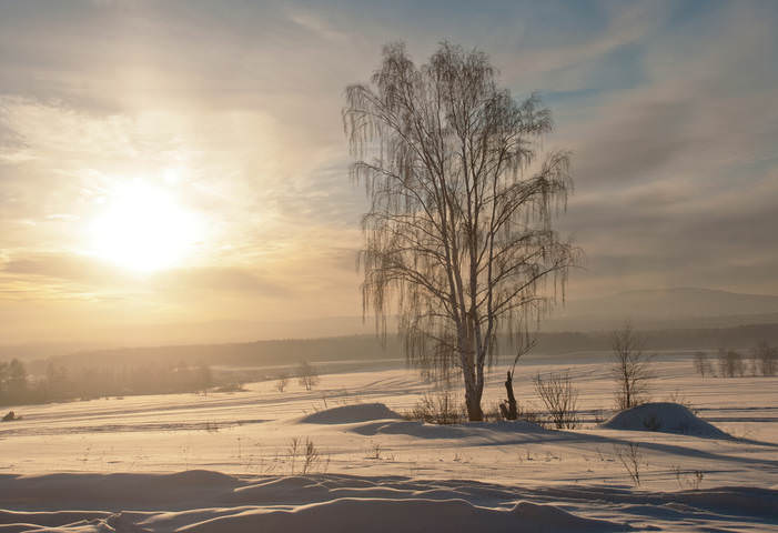 Декабрь