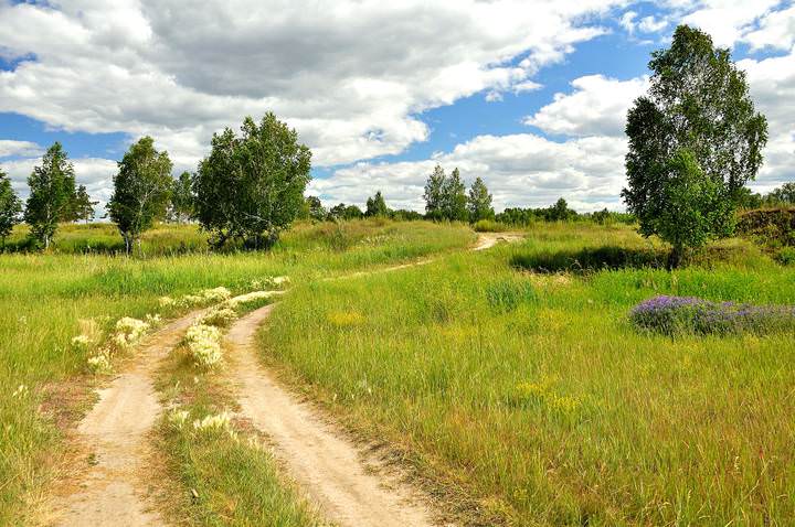 Полевая дорога