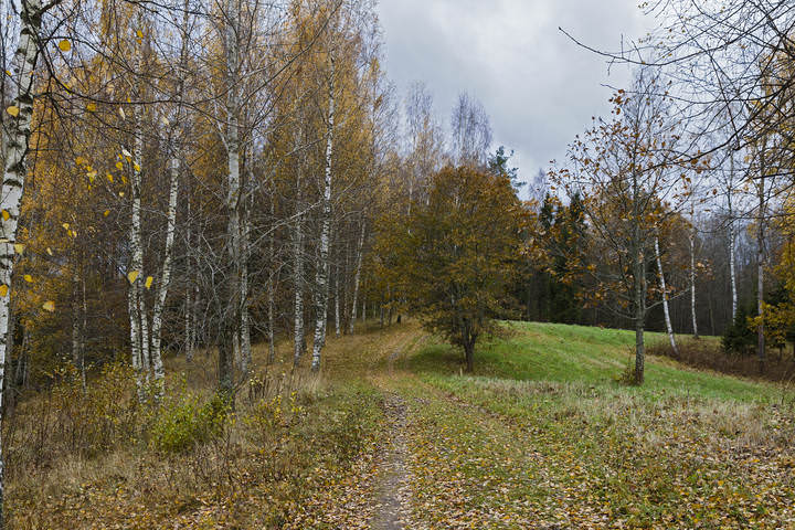 Осенние прогулки