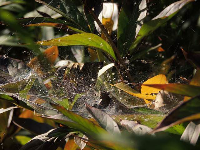 # 8