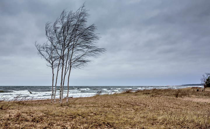 Saulkrasti 061215