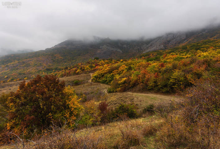 Крымские туманы