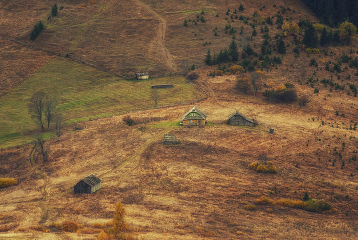 Осенние подпалины.