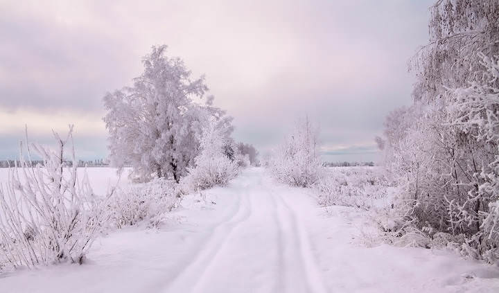 Декабрь