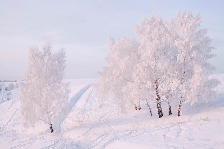 Нежный-декабрь