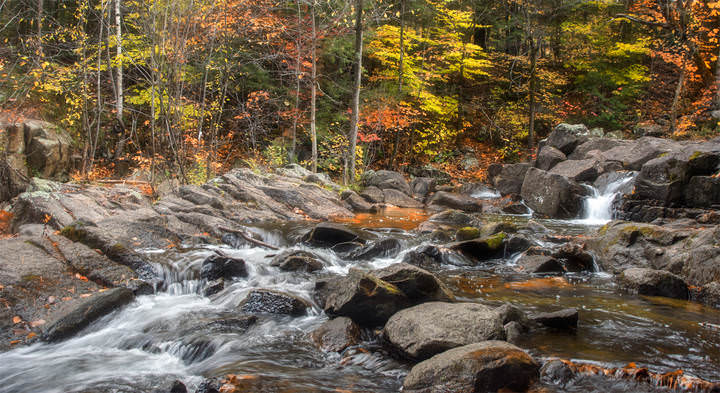 	 The Carbide Wilson Ruins