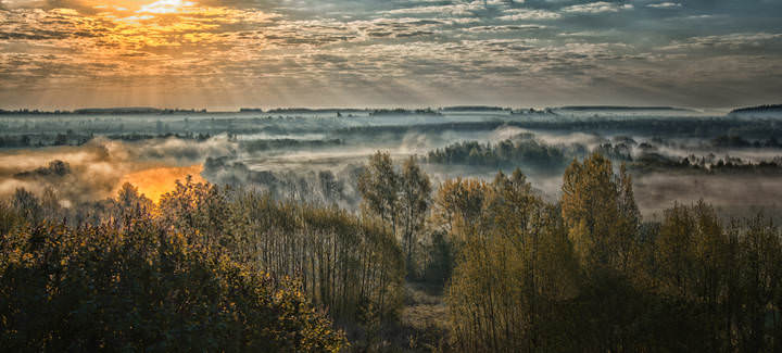 Лучи