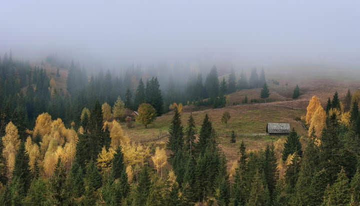 По краю тумана.