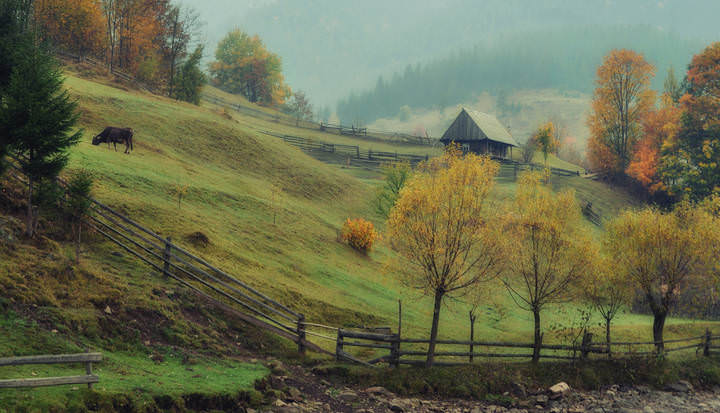В пастельных тонах.