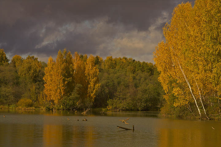 Осень...