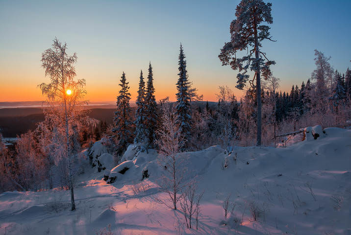 Красный рассвет