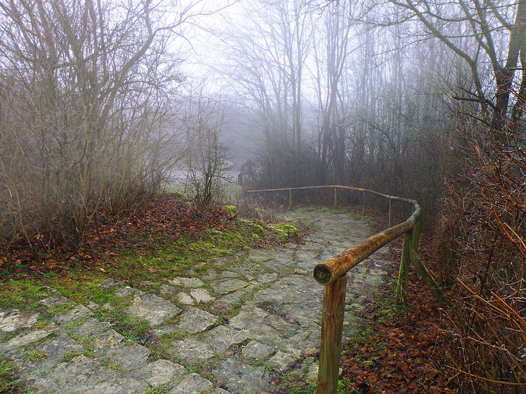 лестница в туман